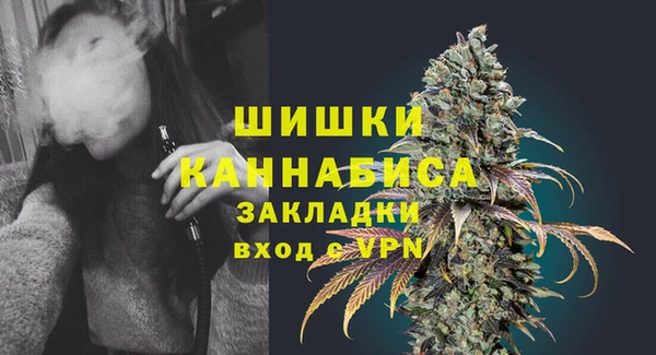 PSILOCYBIN Балабаново